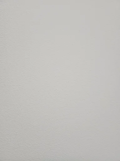 0기 신은지