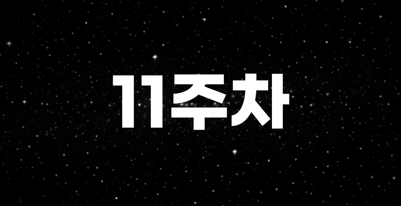 비즈니스 마스터리 : 11주차 - 영상 제작