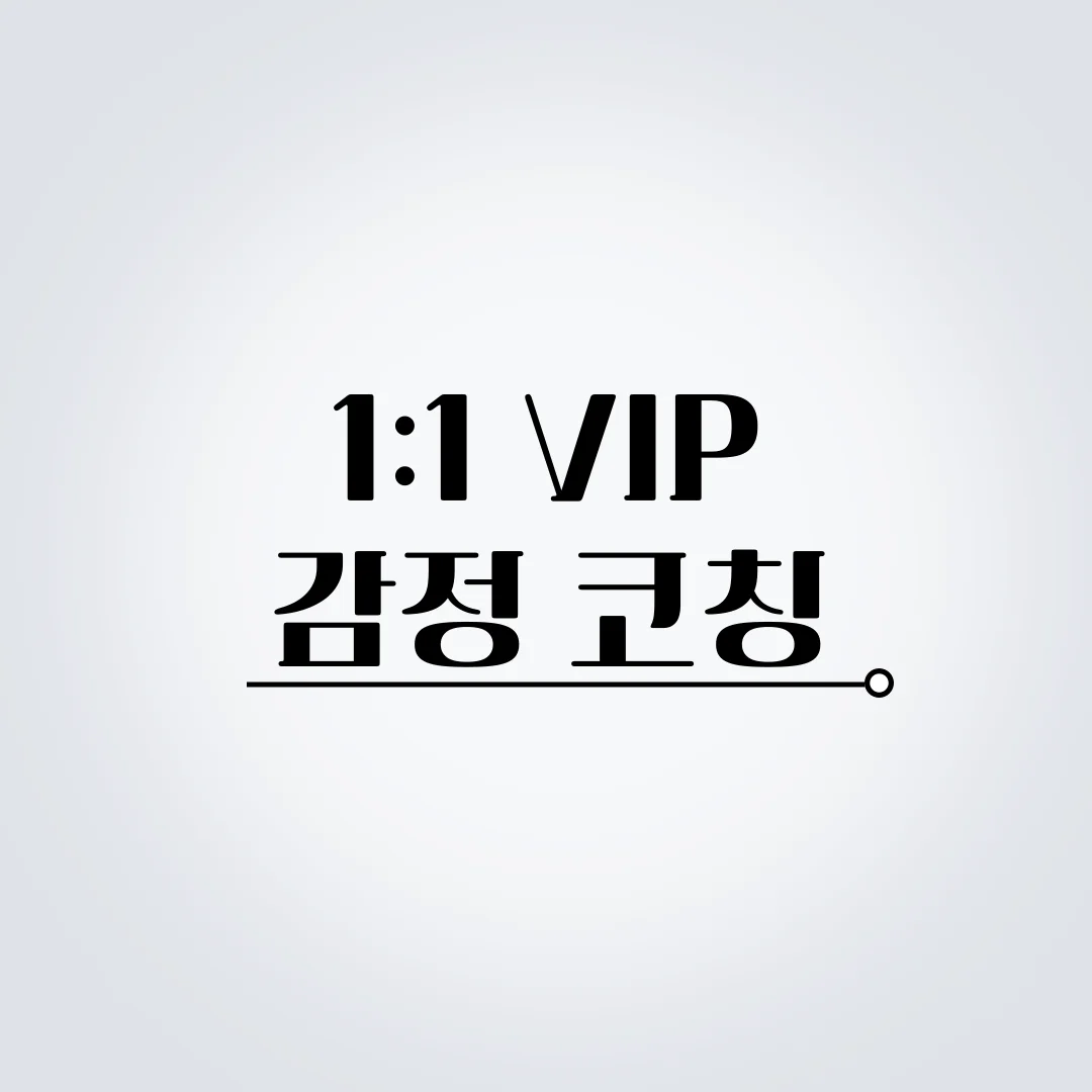 1:1 VIP 감정코칭 1회 (체험권)