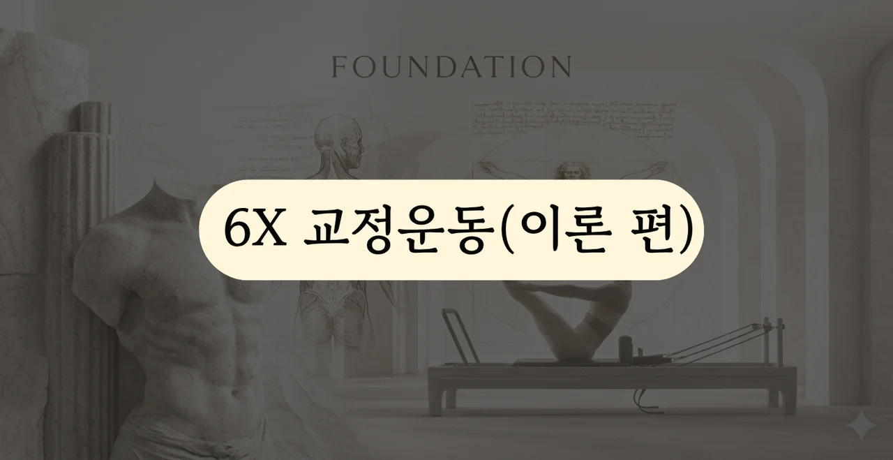 6X 교정운동 (이론 편)