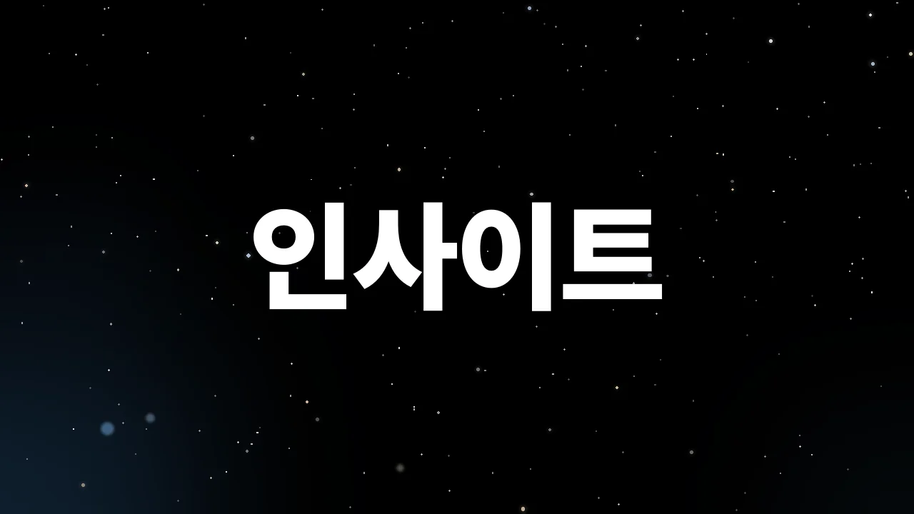 범놀이터 인사이트