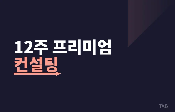 12주 프리미엄 컨설팅