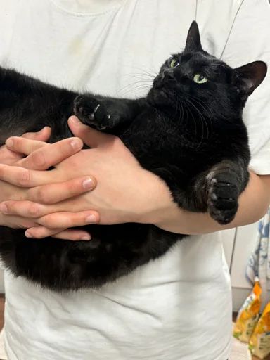 유왐