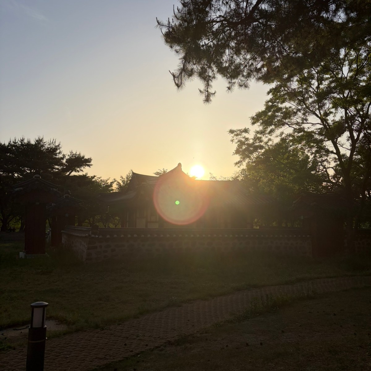 김소운
