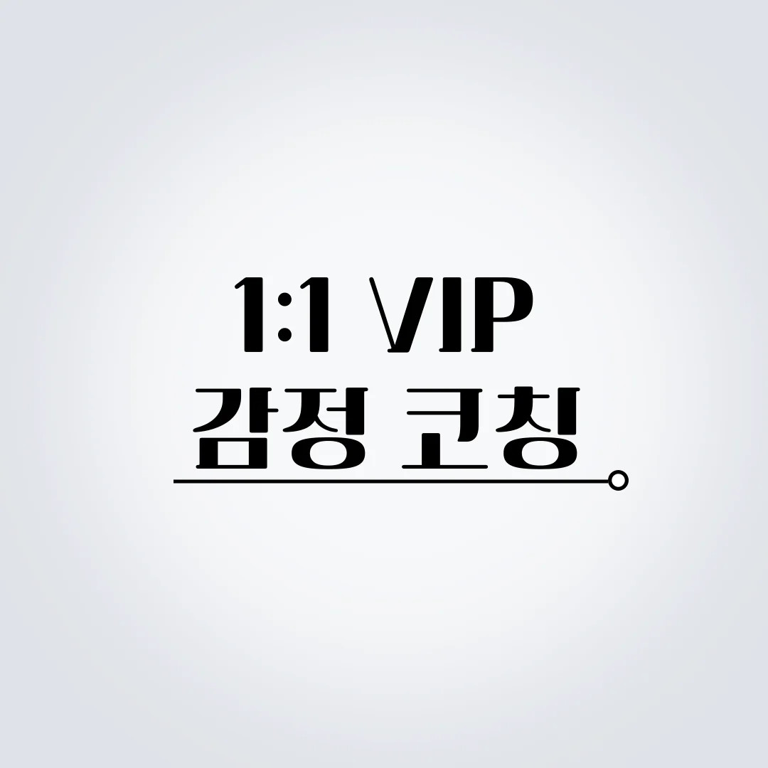 1:1 VIP 감정코칭 1회 (체험권)